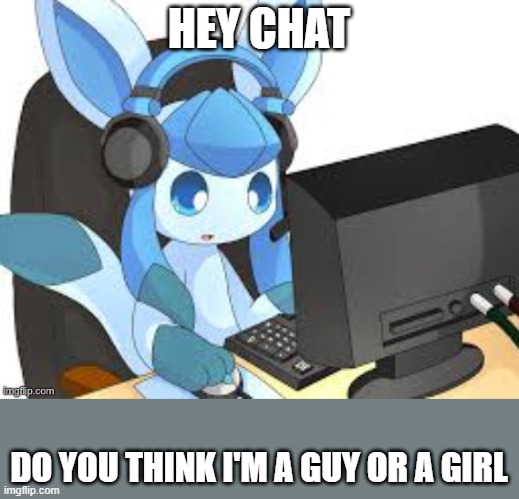 gaming glaceon | HEY CHAT; DO YOU THINK I'M A GUY OR A GIRL | image tagged in gaming glaceon | made w/ Imgflip meme maker