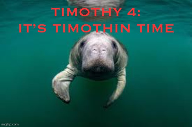 TIMOTHY 4:
IT’S TIMOTHIN TIME | made w/ Imgflip meme maker