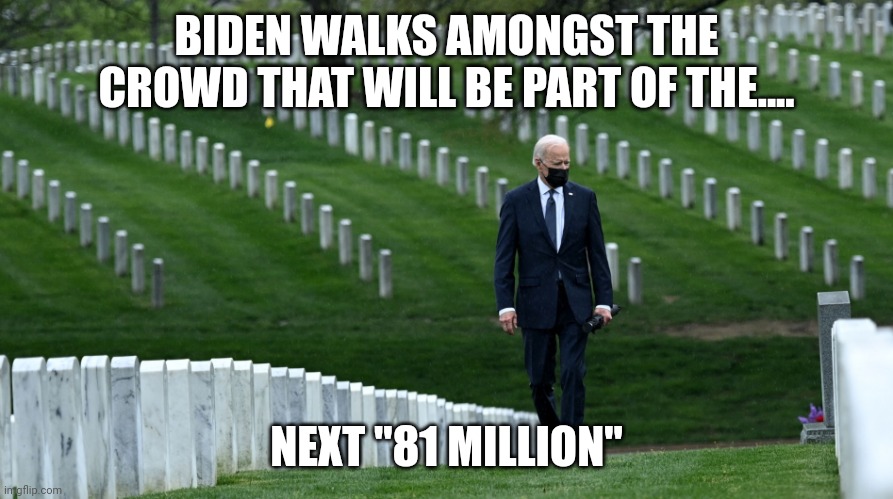 Strength if a government is based on the breadth of it's voters | BIDEN WALKS AMONGST THE CROWD THAT WILL BE PART OF THE.... NEXT "81 MILLION" | image tagged in biden cemetery | made w/ Imgflip meme maker