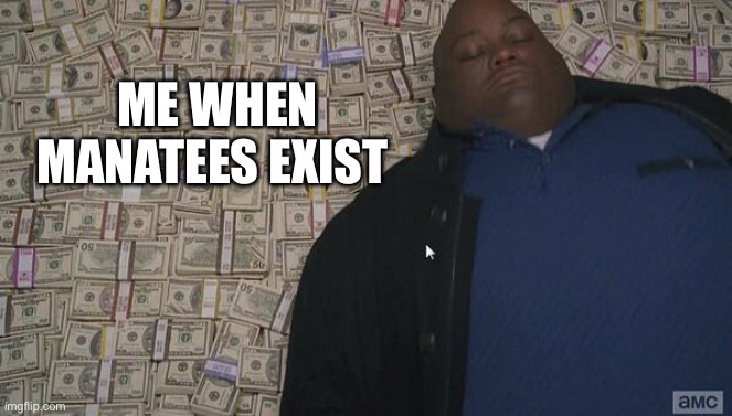 fat guy in money | ME WHEN MANATEES EXIST | image tagged in fat guy in money | made w/ Imgflip meme maker