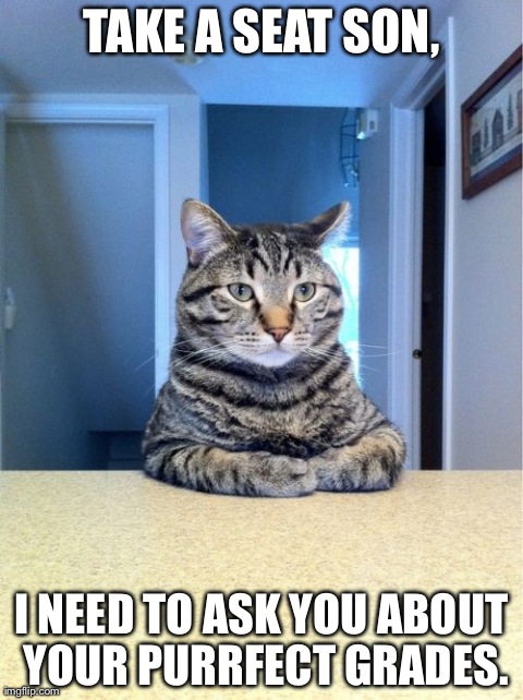 Take A Seat Cat Meme | TAKE A SEAT SON, I NEED TO ASK YOU ABOUT YOUR PURRFECT GRADES. | image tagged in memes,take a seat cat | made w/ Imgflip meme maker