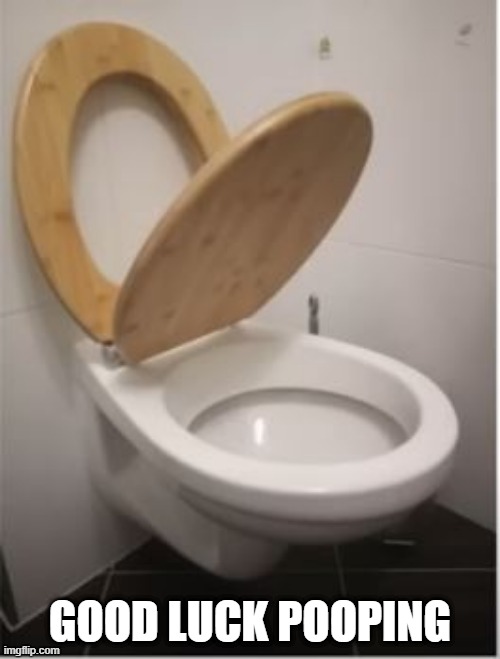 Toi-ugh | GOOD LUCK POOPING | image tagged in you had one job | made w/ Imgflip meme maker