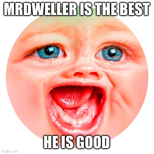Mrdweller | MRDWELLER IS THE BEST; HE IS GOOD | image tagged in mrdweller | made w/ Imgflip meme maker
