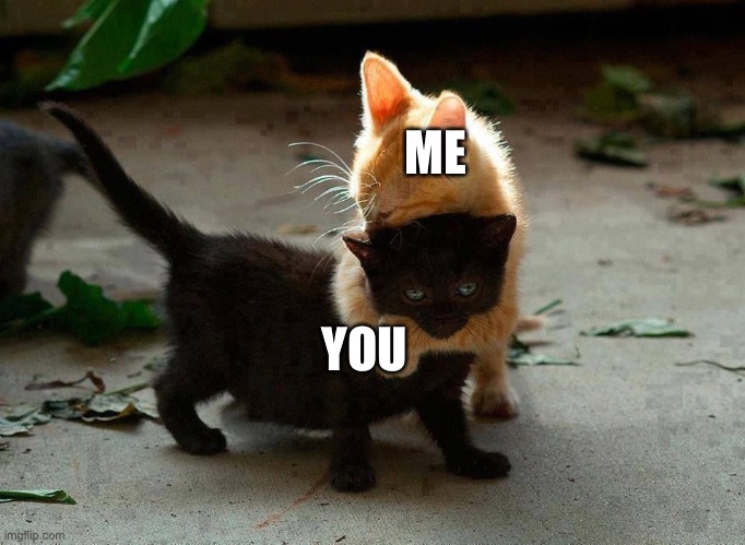 kitten hug | ME YOU | image tagged in kitten hug | made w/ Imgflip meme maker