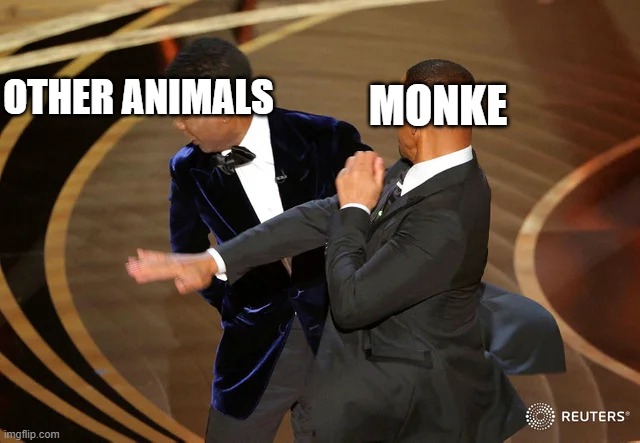 King of the Jungle | OTHER ANIMALS; MONKE | image tagged in will smith punching chris rock | made w/ Imgflip meme maker