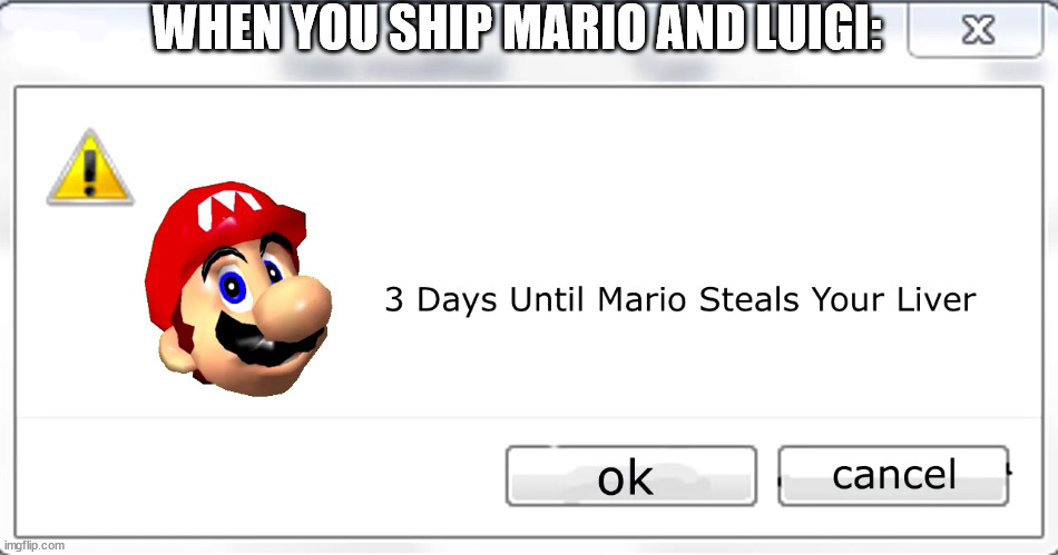 3 days until Mario steals your liver | WHEN YOU SHIP MARIO AND LUIGI: | image tagged in 3 days until mario steals your liver | made w/ Imgflip meme maker
