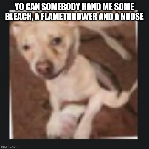 you won't like why I need them | YO CAN SOMEBODY HAND ME SOME BLEACH, A FLAMETHROWER AND A N00SE | image tagged in wank dog | made w/ Imgflip meme maker