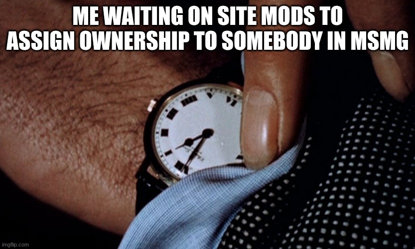 Clock watching | ME WAITING ON SITE MODS TO ASSIGN OWNERSHIP TO SOMEBODY IN MSMG | image tagged in clock watching | made w/ Imgflip meme maker