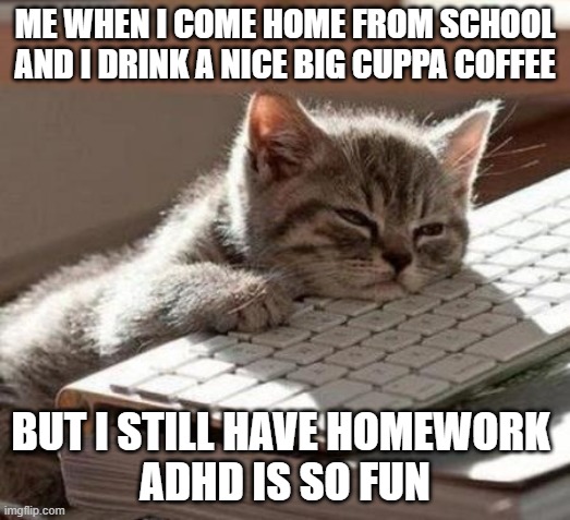 coffee | ME WHEN I COME HOME FROM SCHOOL AND I DRINK A NICE BIG CUPPA COFFEE; BUT I STILL HAVE HOMEWORK 
ADHD IS SO FUN | image tagged in tired cat | made w/ Imgflip meme maker