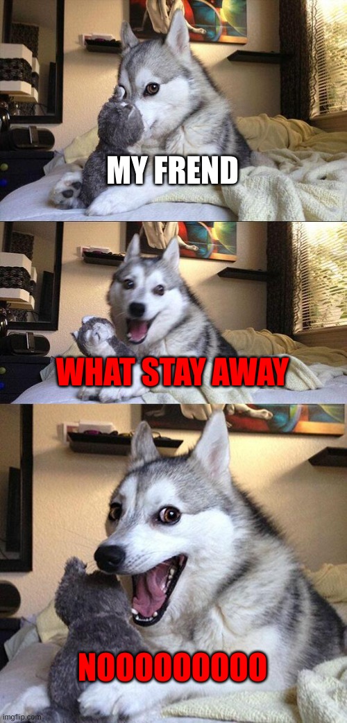 Bad Pun Dog Meme | MY FREND; WHAT STAY AWAY; NOOOOOOOOO | image tagged in memes,bad pun dog | made w/ Imgflip meme maker