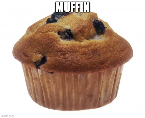 muffin (T_G_M note- M U F F I N) | MUFFIN | image tagged in muffin | made w/ Imgflip meme maker