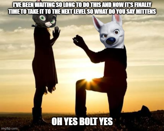 bolttens big moment | I'VE BEEN WAITING SO LONG TO DO THIS AND NOW IT'S FINALLY TIME TO TAKE IT TO THE NEXT LEVEL SO WHAT DO YOU SAY MITTENS; OH YES BOLT YES | image tagged in proposal,cats,dogs,romance,memes | made w/ Imgflip meme maker