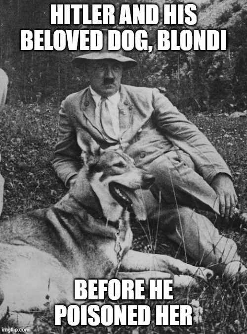 Hitler and beloved dog, Blondi, before he poisoned her | HITLER AND HIS BELOVED DOG, BLONDI; BEFORE HE POISONED HER | image tagged in hitler and beloved dog blondi,dog,pet,psychology,egomaniac,insanity | made w/ Imgflip meme maker