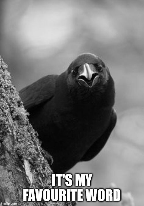 Why Raven | IT'S MY FAVOURITE WORD | image tagged in why raven | made w/ Imgflip meme maker