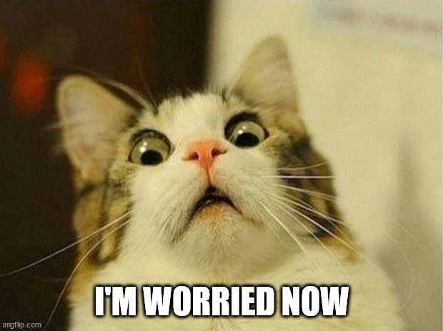 Scared Cat Meme | I'M WORRIED NOW | image tagged in memes,scared cat | made w/ Imgflip meme maker