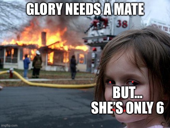 Disaster Girl | GLORY NEEDS A MATE; BUT… SHE’S ONLY 6 | image tagged in memes,disaster girl | made w/ Imgflip meme maker