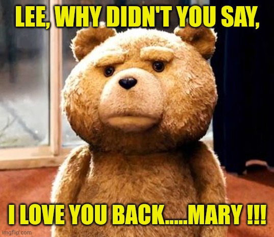 TED Meme | LEE, WHY DIDN'T YOU SAY, I LOVE YOU BACK.....MARY !!! | image tagged in memes,ted | made w/ Imgflip meme maker
