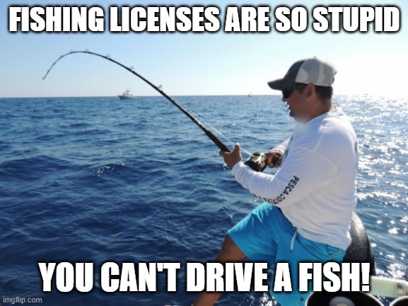 Nice Catch | FISHING LICENSES ARE SO STUPID; YOU CAN'T DRIVE A FISH! | image tagged in fishing | made w/ Imgflip meme maker