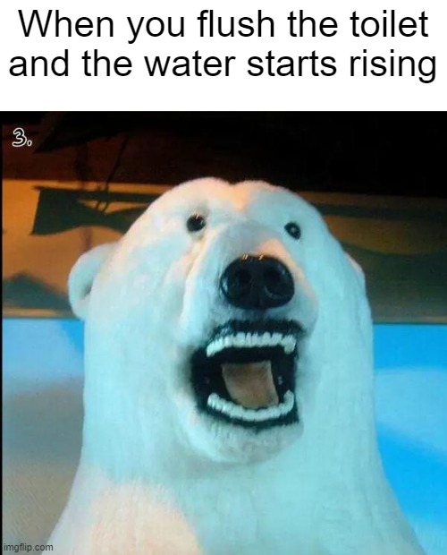 An overused joke, spiced up by either a bad wax job or a terrible Polar Bear taxidermy! |  When you flush the toilet and the water starts rising | image tagged in horrified polar bear | made w/ Imgflip meme maker