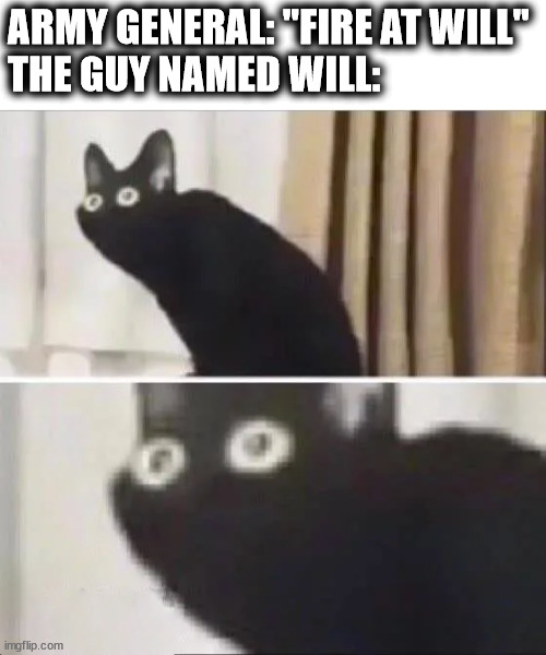 Scared cat | ARMY GENERAL: "FIRE AT WILL"
THE GUY NAMED WILL: | image tagged in scared cat | made w/ Imgflip meme maker