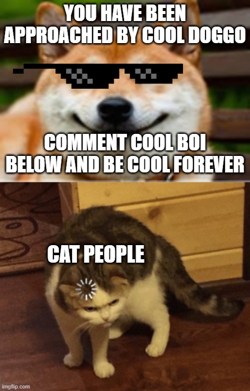 random shitpost | YOU HAVE BEEN APPROACHED BY COOL DOGGO; COMMENT COOL BOI BELOW AND BE COOL FOREVER; CAT PEOPLE | image tagged in funny cat memes,memes,doggo,doggos,meme,mememe | made w/ Imgflip meme maker