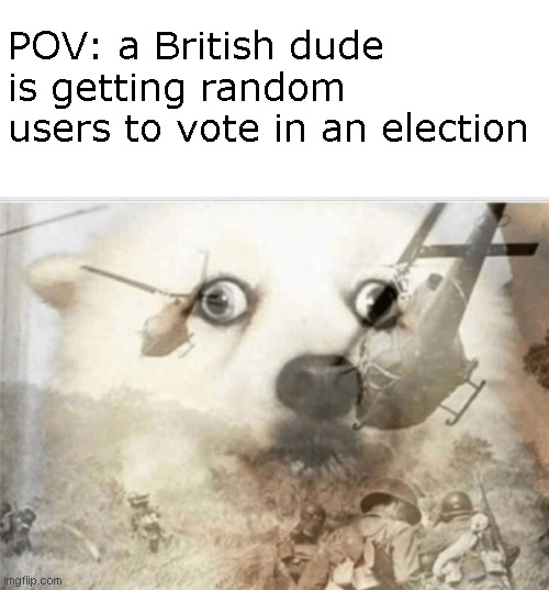 PTSD dog | POV: a British dude is getting random users to vote in an election | image tagged in ptsd dog | made w/ Imgflip meme maker