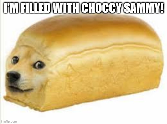 Doge bread | I'M FILLED WITH CHOCCY SAMMY! | image tagged in doge bread | made w/ Imgflip meme maker