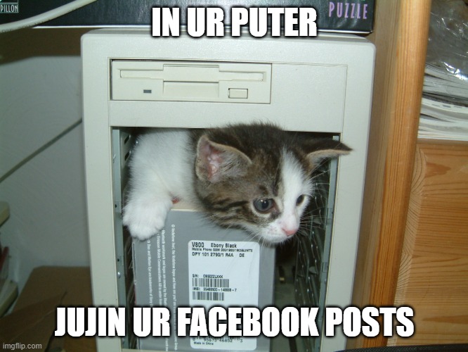 XD RANDOM | IN UR PUTER; JUJIN UR FACEBOOK POSTS | image tagged in lolcat in ur puter,xd,random,lolcats,facebook,kitteh | made w/ Imgflip meme maker