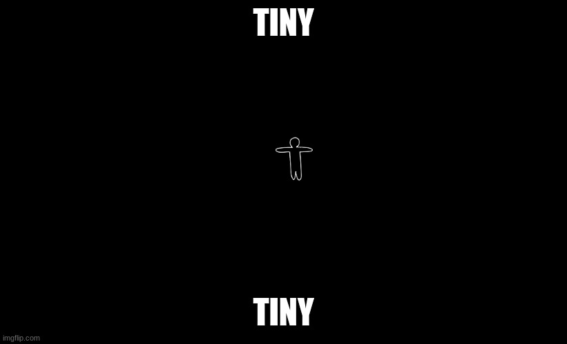 TINY; TINY | made w/ Imgflip meme maker