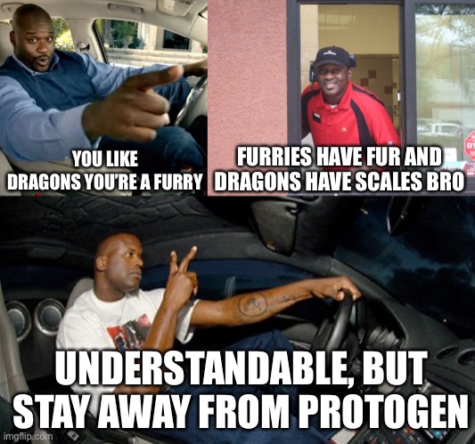 Btw no furry | FURRIES HAVE FUR AND DRAGONS HAVE SCALES BRO; YOU LIKE DRAGONS YOU’RE A FURRY; UNDERSTANDABLE, BUT STAY AWAY FROM PROTOGEN | image tagged in understandable have a nice day,memes,imgflip,anti furry,wings of fire | made w/ Imgflip meme maker