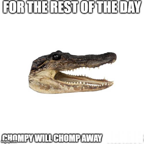 chompy | IIIIIIIIII | image tagged in crocodile | made w/ Imgflip meme maker