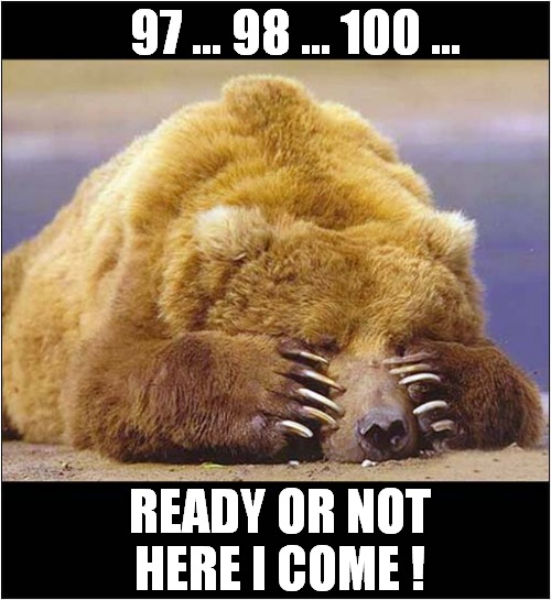 Bear Playing Hide And Seek ! | 97 ... 98 ... 100 ... READY OR NOT HERE I COME ! | image tagged in fun,bear,hide and seek | made w/ Imgflip meme maker