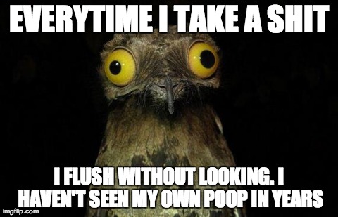 Weird Stuff I Do Potoo | EVERYTIME I TAKE A SHIT I FLUSH WITHOUT LOOKING. I HAVEN'T SEEN MY OWN POOP IN YEARS | image tagged in memes,weird stuff i do potoo | made w/ Imgflip meme maker