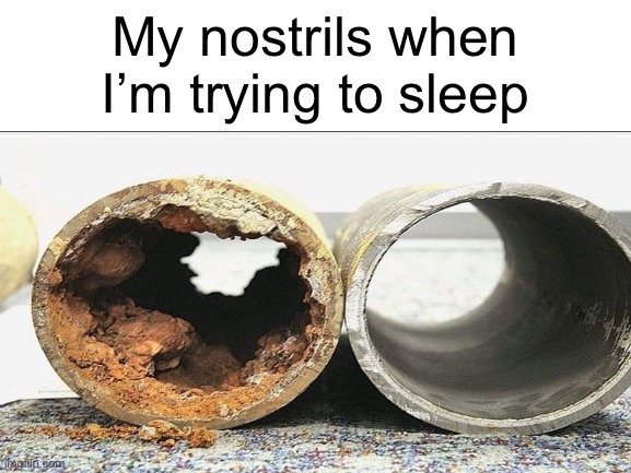 Title | My nostrils when I’m trying to sleep | image tagged in funny,relatable | made w/ Imgflip meme maker