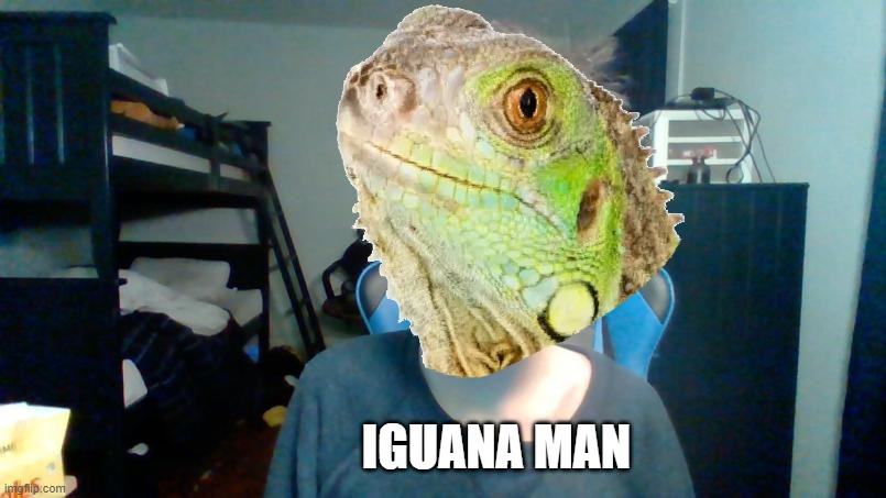 e | IGUANA MAN | image tagged in sassy iguana | made w/ Imgflip meme maker