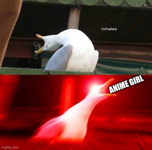 Inhaling Seagull  | ANIME GIRL | image tagged in inhaling seagull | made w/ Imgflip meme maker