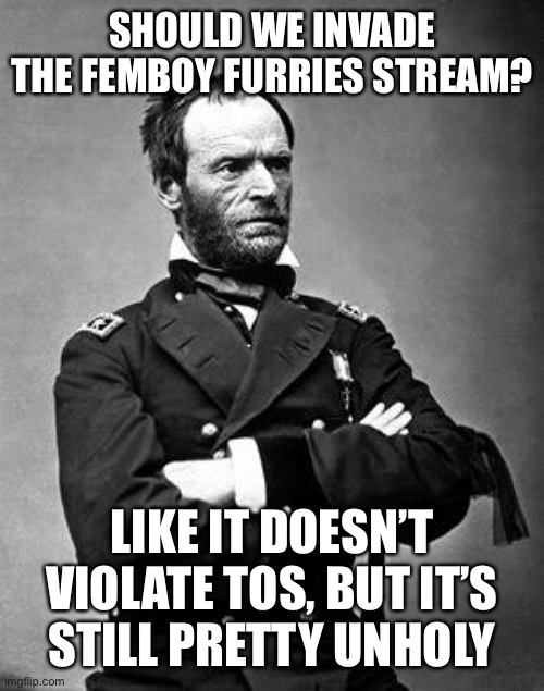 General Sherman | SHOULD WE INVADE THE FEMBOY FURRIES STREAM? LIKE IT DOESN’T VIOLATE TOS, BUT IT’S STILL PRETTY UNHOLY | image tagged in general sherman | made w/ Imgflip meme maker