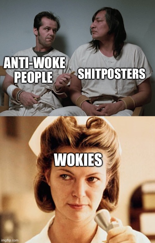 ANTI-WOKE PEOPLE; SHITPOSTERS; WOKIES | image tagged in one flew over the cuckoos nest,nurse ratched | made w/ Imgflip meme maker