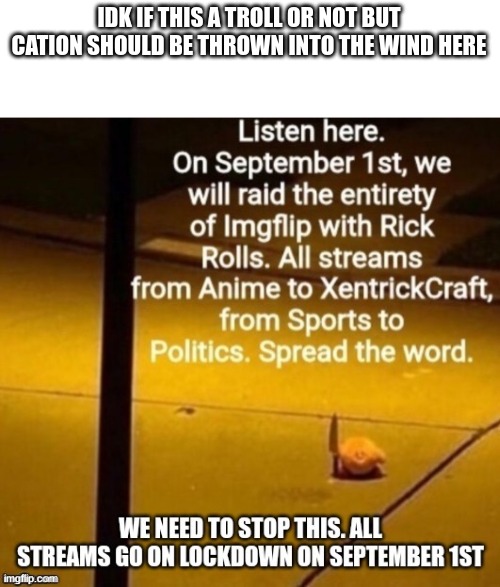 troll? idfk | IDK IF THIS A TROLL OR NOT BUT CATION SHOULD BE THROWN INTO THE WIND HERE | made w/ Imgflip meme maker