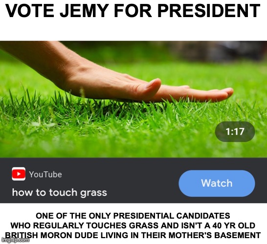 How to touch grass | VOTE JEMY FOR PRESIDENT; ONE OF THE ONLY PRESIDENTIAL CANDIDATES WHO REGULARLY TOUCHES GRASS AND ISN'T A 40 YR OLD BRITISH MORON DUDE LIVING IN THEIR MOTHER'S BASEMENT | image tagged in how to touch grass | made w/ Imgflip meme maker