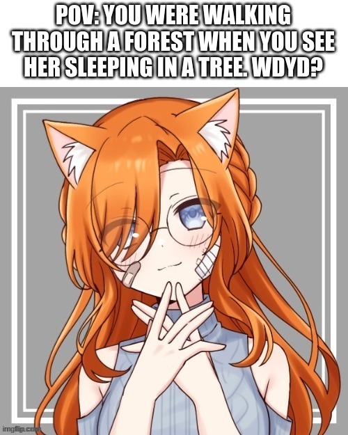 Romance RP, males preferred but not required. No joke or Bambi ocs, no military ocs or killing her, and no ERP. | POV: YOU WERE WALKING THROUGH A FOREST WHEN YOU SEE HER SLEEPING IN A TREE. WDYD? | image tagged in roleplaying | made w/ Imgflip meme maker