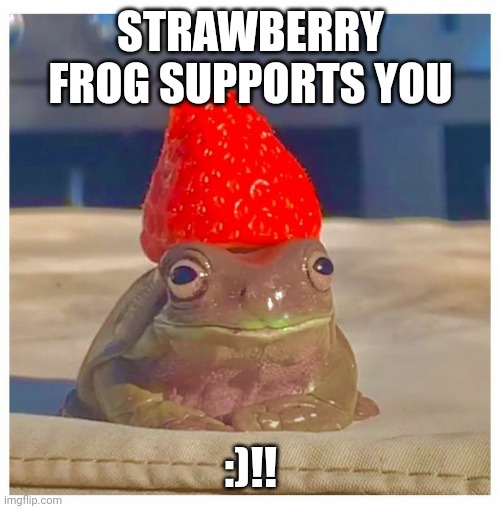 Strawberry frog | STRAWBERRY FROG SUPPORTS YOU :)!! | image tagged in strawberry frog | made w/ Imgflip meme maker