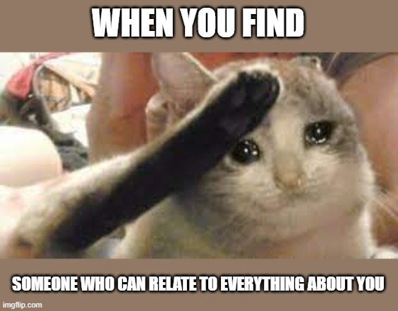 Sad Cat Salute | WHEN YOU FIND; SOMEONE WHO CAN RELATE TO EVERYTHING ABOUT YOU | image tagged in sad cat salute | made w/ Imgflip meme maker
