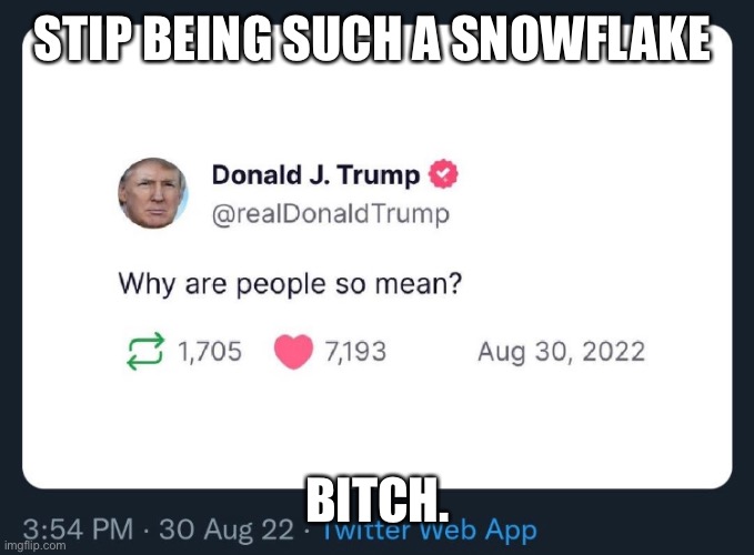 STIP BEING SUCH A SNOWFLAKE; BITCH. | made w/ Imgflip meme maker