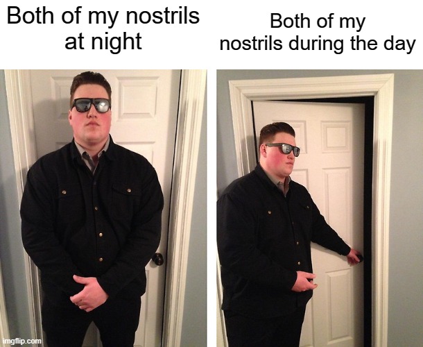 Is this relatable??????????? |  Both of my nostrils during the day; Both of my nostrils 
at night | image tagged in guy who blocks door,nose,relatable | made w/ Imgflip meme maker