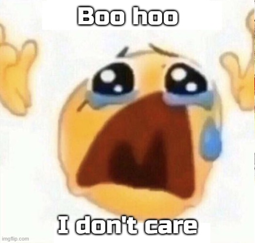 boo hooo | Boo hoo I don't care | image tagged in boo hooo | made w/ Imgflip meme maker