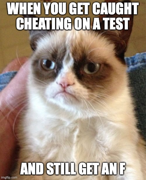 Grumpy Cat Meme | WHEN YOU GET CAUGHT CHEATING ON A TEST; AND STILL GET AN F | image tagged in memes,grumpy cat | made w/ Imgflip meme maker
