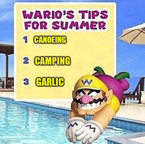 Warios tips for summer | CANOEING CAMPING GARLIC | image tagged in warios tips for summer | made w/ Imgflip meme maker