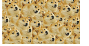 High Quality Multi Doge Blank Meme Template