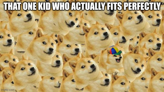 Good Memes |  THAT ONE KID WHO ACTUALLY FITS PERFECTLY | image tagged in memes,multi doge,lil bro | made w/ Imgflip meme maker